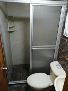 a bathroom with a toilet and a shower at Apartamento completo medellin in Medellín +10 photos