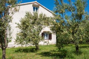 Zahrada ubytování Apartmani Nana Mija