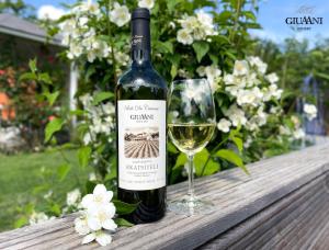 Nápoje v ubytování Giuaani Winery