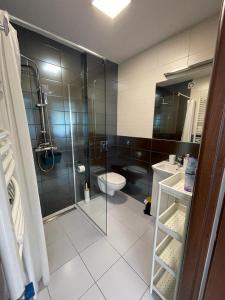 La salle de bains est pourvue de toilettes et d'une douche en verre. dans l'établissement Agroturystyka pod niebieskim dachem, à Siedlęcin