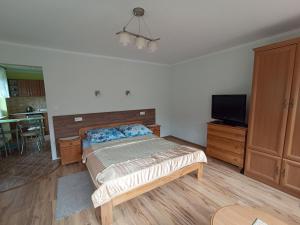 een slaapkamer met een bed en een flatscreen-tv bij POKOJE GOŚCINNE "DOMINIK" in Wisła