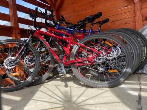 two bikes are parked next to each other at Pensiunea Montana Varlaam in Între Bîsci +7 photos