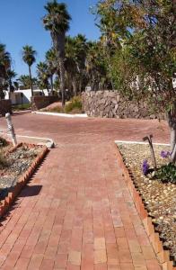 a brick walkway with palm trees and a stone wall at Casa de Estero, Ensenada 8 personas in Maneadero
