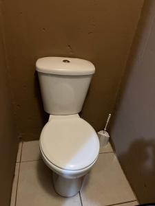 a white toilet in a corner with a brush at Tshukudu Guesthouse in Soweto