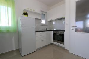 Kuchyň nebo kuchyňský kout v ubytování Villa Tamarut
