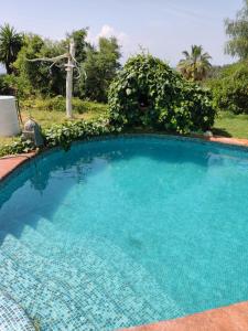 The swimming pool at or close to Mare Maravella Costa Brava Nature