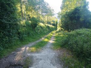 Príroda v okolí apartmánu