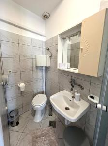 a bathroom with a toilet and a sink at Apartment Marija in Vodnjan