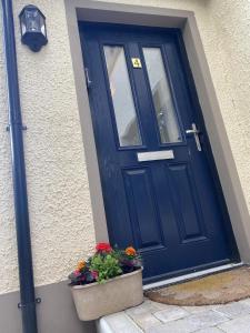 une porte bleue avec deux plantes en pot devant elle dans l'établissement Copperview Apartment, à Newcastle