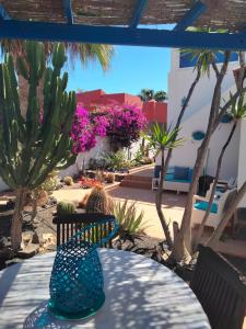 Fotografia z galérie ubytovania Villa Rosa meravigliosa con piscina interna v destinácii Corralejo