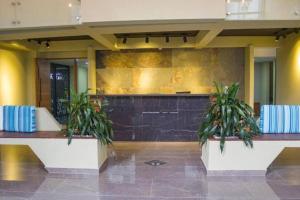 a lobby with two potted plants on two benches at Fabuloso apartamento en el Mar Caribe - Rodadero in Gaira +24 photos