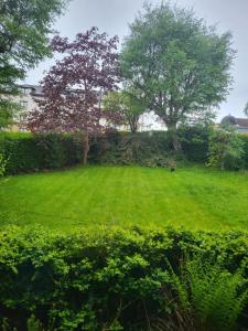 A garden outside Large 3 Bed Apartment Glasgow West End Free Parking & Electric Vehicle point
