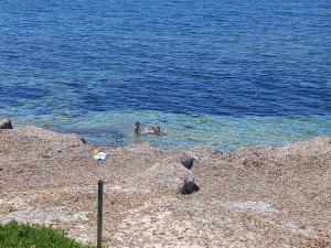 Gallery image of Le due conchiglie in Carini