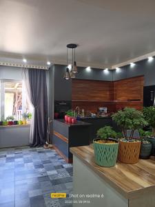 a kitchen with a counter and some plants in it at B&B House in Mestia