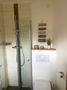 a bathroom with a shower and a toilet in a room at stylisches Ferienhäuschen in Güstrow