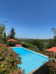 Πισίνα στο ή κοντά στο Villa Ledonia