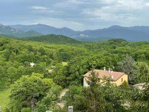 Zdjęcie z galerii obiektu Agriturismo Antico Castagno w mieście Montebibico