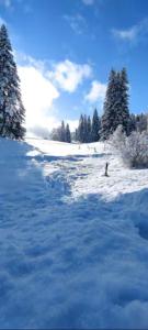 a snow covered field with trees and trees sidx sidx sidx sidx at Cahute de montagne pour profiter du Haut Jura in Prémanon