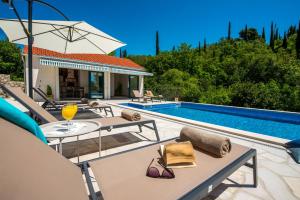 a villa with a swimming pool with a table and chairs at Villa Konavoski Miri in Gruda