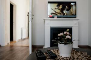 Spring Rustik tesisinde bir televizyon ve/veya eğlence merkezi