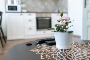 Spring Rustik tesisinde mutfak veya mini mutfak