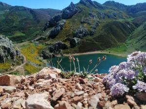 a view from the top of a mountain with a lake at Casas Rurales Las Corradas in Éndriga