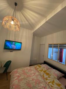 sypialnia z łóżkiem i telewizorem na ścianie w obiekcie Charmant appartement Cité international - Gastronomie & Vin - Dijon w mieście Dijon