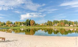 ławka siedząca na plaży obok jeziora w obiekcie ForestPlage Gîte avec SPA nordique w mieście Cognac-le-Froid