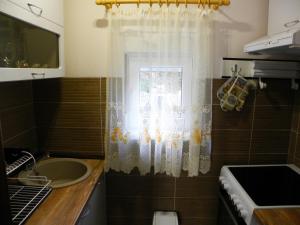 Kuhinja oz. manjša kuhinja v nastanitvi Apartments Aleksandra