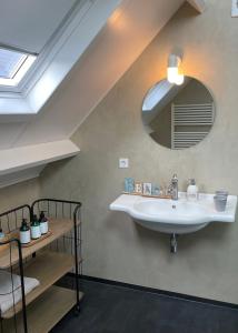 a bathroom with a sink and a mirror at Huis aan Honte in Dishoek