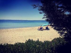 Gallery image of Porto Almira Beachfront House in Nikiti +17 photos