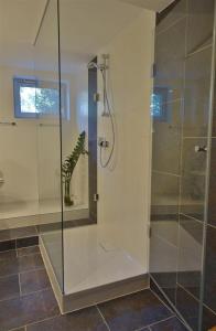 a shower with a glass door in a bathroom at Austria Center - Wien an der Donau in Vienna