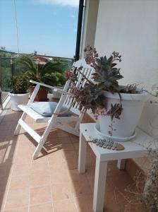 a white chair and potted plants on a balcony at La casa di Annalisa in Ortona