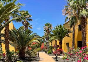 a street with palm trees and a yellow building at Casa Cayenne - Stylish apartment with ocean/dune view in Corralejo