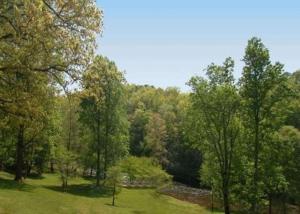 a park with trees and grass and a stone wall at Rodeway Inn & Suites Cherokee On the River in Cherokee