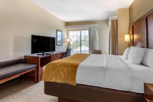 Habitación de hotel con cama, escritorio y TV. en Comfort Suites Myrtle Beach Central, en Myrtle Beach