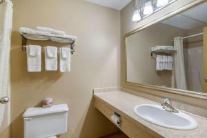 a bathroom with a sink and a mirror and a toilet at Econo Lodge in Regina +12 photos