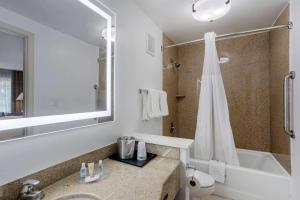
a bathroom with a shower, sink, and mirror at Comfort Inn Downtown Nashville/Vanderbilt in Nashville
