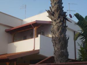 a palm tree next to a building with a palm tree at La vedetta in San Pietro in Bevagna