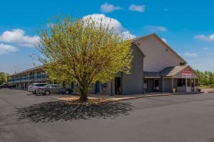 un árbol en un estacionamiento frente a un edificio en Econo Lodge Inn & Suites, en Enid