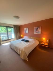 a bedroom with a large bed and a large window at Hotel Gowell Kuur- en Wellness Yolande Buekers in Wellen