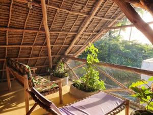 a room with chairs and potted plants on a roof at Jambiani Guest Lodge PEMBA in Jambiani