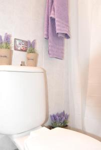 uma casa de banho com WC e toalhas roxas em Anemomylos Apartments em Lixouri