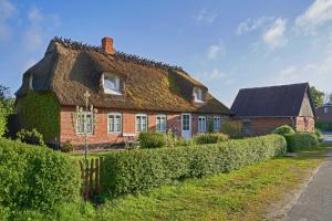 een huis met een rieten dak en een heg bij Reetdachhaus De Ole Kaat in Niesgrau