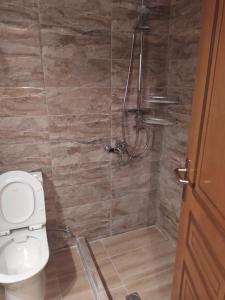 a bathroom with a toilet and a shower at Studios Efi beach in Vourvourou