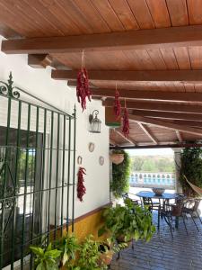 een patio met een tafel en een aantal planten bij Casa Rural Finca las Tejoneras in Bornos