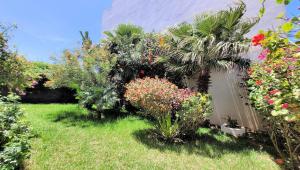 a garden with flowers and plants in a yard at Maison de la Lagune in Oualidia