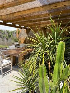 un patio con una mesa y algunas plantas en Ocean House - Ribeira d'ilhas Ericeira, en Ericeira