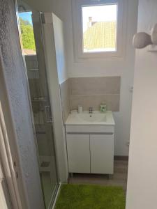 uma casa de banho com um lavatório e um chuveiro com uma janela em Gîte Lilou avec parking privé em Le Tréport