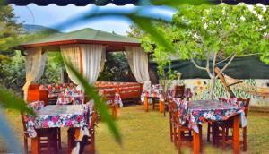 A garden outside Elit Deniz Palamutbükü